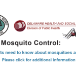 Mosquito control