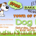 Dog Fair Flyer Small